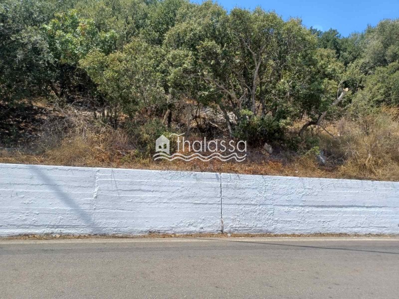 Οικόπεδο 1.343 τ.μ. πρός πώληση, Ν. Κεφαλονιάς, Κεφαλονιά