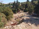 Land plot 4.000sqm for sale-Vamos