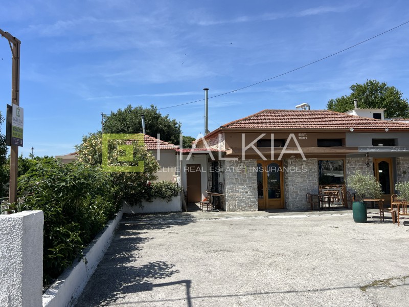 Κατάστημα 250 τ.μ. πρός πώληση, Μαγνησία, Ιωλκός