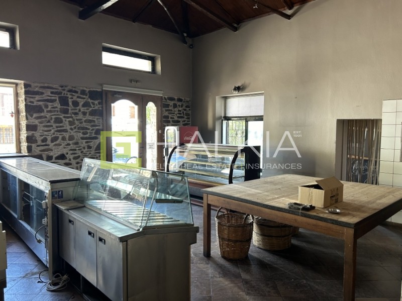 Κατάστημα 250 τ.μ. πρός πώληση, Μαγνησία, Ιωλκός