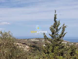 Οικόπεδο 2.000 τ.μ. για πώληση, Ν. Ρεθύμνου, Ρέθυμνο-thumb-2