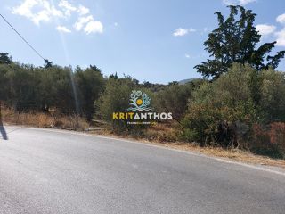 Οικόπεδο 2.000 τ.μ. για πώληση, Ν. Ρεθύμνου, Ρέθυμνο-thumb-3