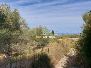 Οικόπεδο 2.000 τ.μ. για πώληση, Ν. Ρεθύμνου, Ρέθυμνο-thumb-6