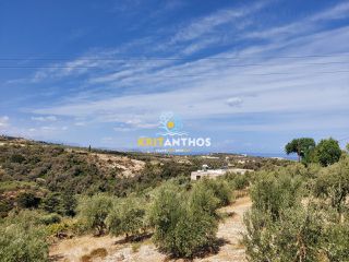Οικόπεδο 2.000 τ.μ. για πώληση, Ν. Ρεθύμνου, Ρέθυμνο-thumb-7