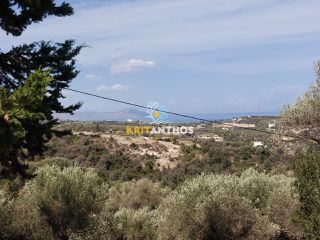 Οικόπεδο 2.000 τ.μ. για πώληση, Ν. Ρεθύμνου, Ρέθυμνο-thumb-8