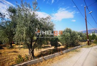 Οικόπεδο 1.800 τ.μ. για πώληση, Αχαΐα, Μεσσατίδα-thumb-24