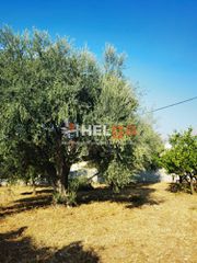 Οικόπεδο 1.800 τ.μ. για πώληση, Αχαΐα, Μεσσατίδα-thumb-1