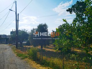 Οικόπεδο 1.800 τ.μ. για πώληση, Αχαΐα, Μεσσατίδα-thumb-21