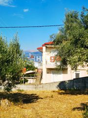 Οικόπεδο 1.800 τ.μ. για πώληση, Αχαΐα, Μεσσατίδα-thumb-25