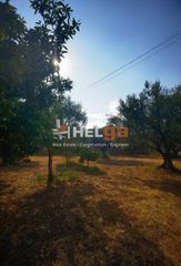 Οικόπεδο 1.800 τ.μ. για πώληση, Αχαΐα, Μεσσατίδα-thumb-6