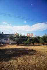 Οικόπεδο 1.800 τ.μ. για πώληση, Αχαΐα, Μεσσατίδα-thumb-8