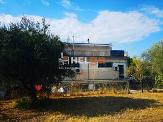 Οικόπεδο 1.800 τ.μ. για πώληση, Αχαΐα, Μεσσατίδα-thumb-16
