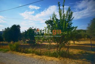 Οικόπεδο 1.800 τ.μ. για πώληση, Αχαΐα, Μεσσατίδα-thumb-23