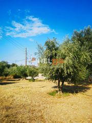 Οικόπεδο 1.800 τ.μ. για πώληση, Αχαΐα, Μεσσατίδα-thumb-10