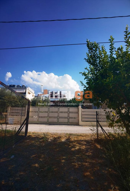 Οικόπεδο 1.800 τ.μ. προς πώληση, Αχαΐα, Μεσσατίδα