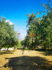 Οικόπεδο 1.800 τ.μ. για πώληση, Αχαΐα, Μεσσατίδα-thumb-12
