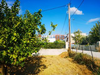 Οικόπεδο 1.800 τ.μ. για πώληση, Αχαΐα, Μεσσατίδα-thumb-18