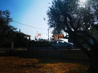 Οικόπεδο 1.800 τ.μ. για πώληση, Αχαΐα, Μεσσατίδα-thumb-14