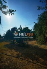 Οικόπεδο 1.800 τ.μ. για πώληση, Αχαΐα, Μεσσατίδα-thumb-4