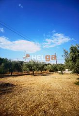 Οικόπεδο 1.800 τ.μ. για πώληση, Αχαΐα, Μεσσατίδα-thumb-9