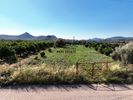 Land plot 1.250sqm for sale-Nea Tirintha » Neo Roeino