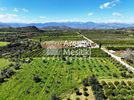 Αγροτεμάχια 7.600τ.μ. για πώληση-Νέα τίρυνθα » Άγιος αδριανός