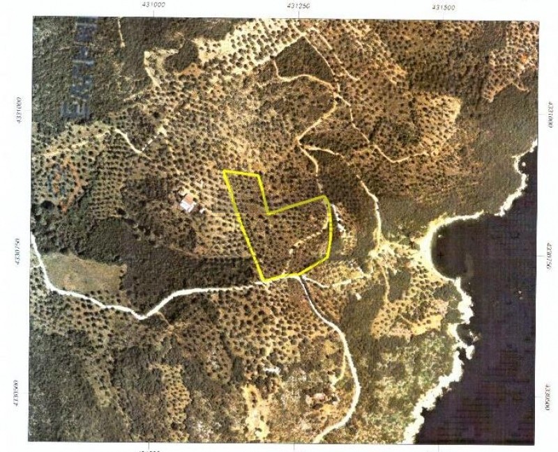Αγροτεμάχια 20.106,26 τ.μ. πρός πώληση, Μαγνησία, Σηπιάδα