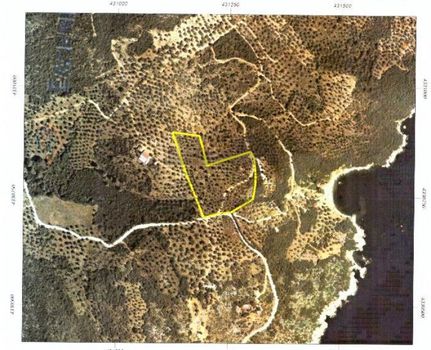 Αγροτεμάχια 20.106,26τ.μ. για πώληση-Σηπιάδα » Λαύκος