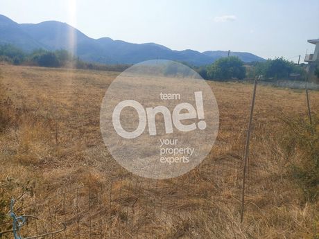 Οικόπεδο 1.946 τ.μ. για πώληση