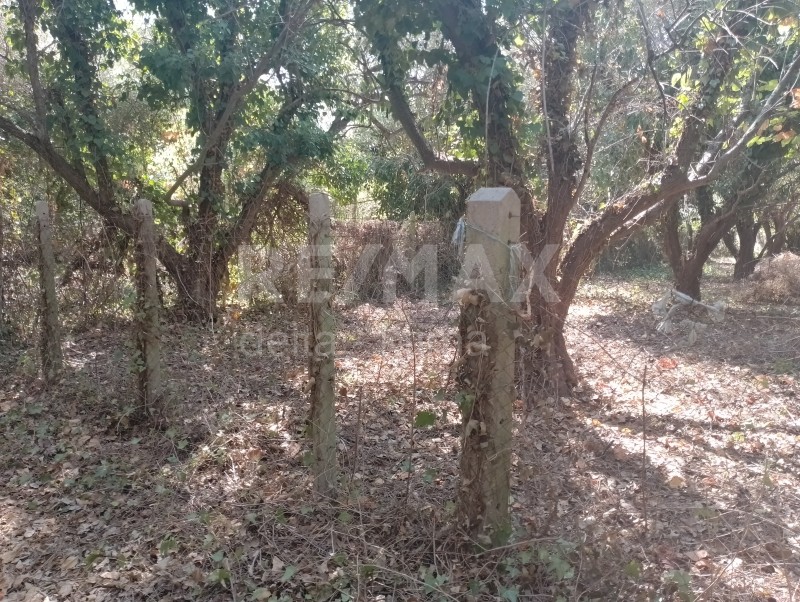 Αγροτεμάχια 400 τ.μ. προς πώληση, Σωτηρίτσα