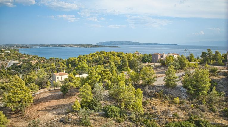 Οικόπεδο 400 τ.μ. για πώληση, Αργολίδα, Κρανίδι