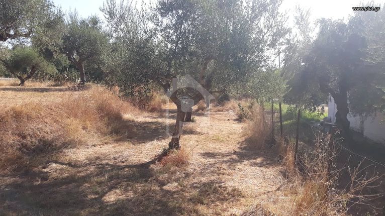 Οικόπεδο 400 τ.μ. για πώληση, Μεσσηνία, Μεσσήνη