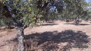 Οικόπεδο 400 τ.μ. για πώληση, Μεσσηνία, Μεσσήνη-thumb-1