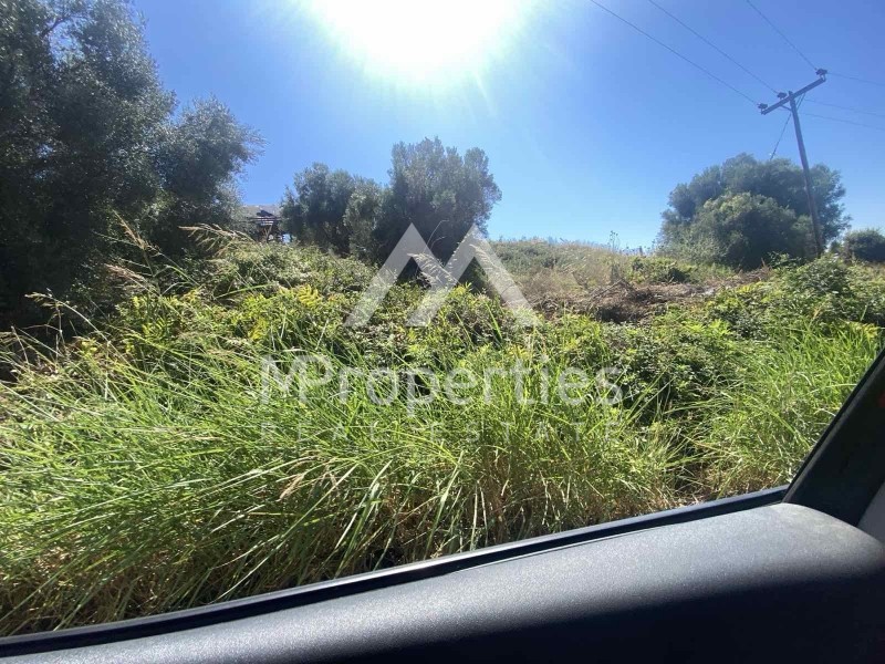 Αγροτεμάχια 4.030 τ.μ. προς πώληση, Σίβηρη