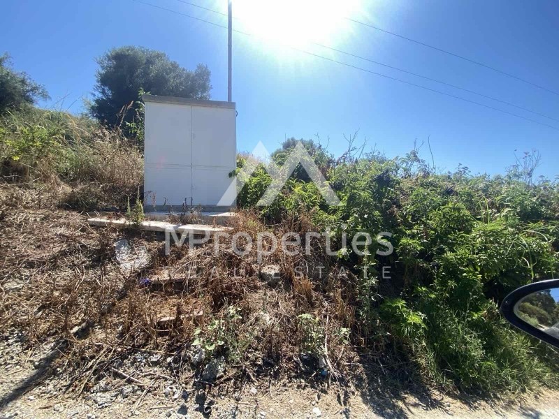 Αγροτεμάχια 4.030 τ.μ. προς πώληση, Σίβηρη