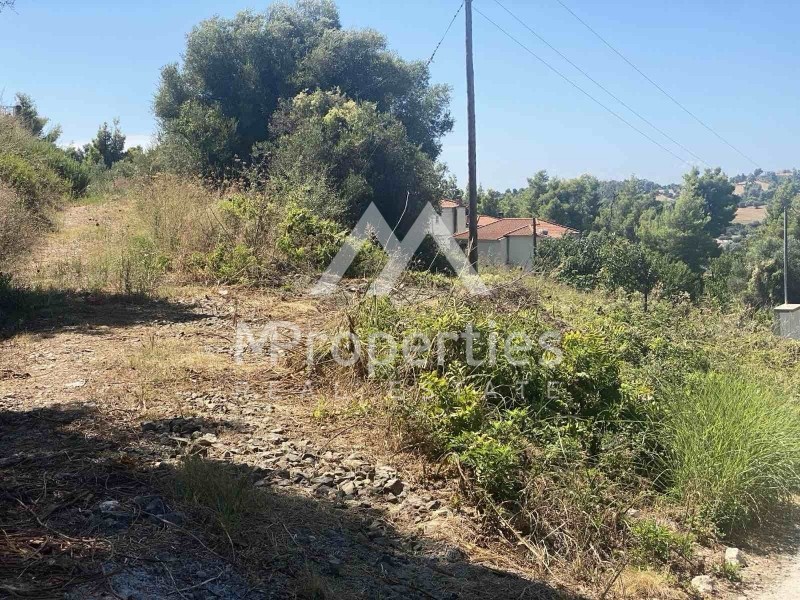 Αγροτεμάχια 4.030 τ.μ. προς πώληση, Σίβηρη