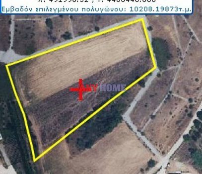 Αγροτεμάχια 10.625 τ.μ. προς πώληση