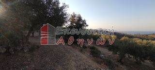 Οικόπεδο 7.500 τ.μ. για πώληση, Ν. Χανίων, Βάμος-thumb-5