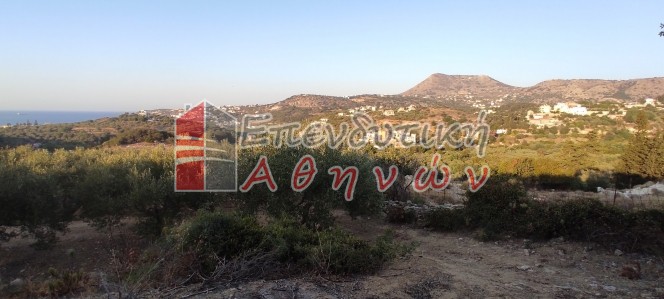 Οικόπεδο 7.500 τ.μ. πρός πώληση, Ν. Χανίων, Βάμος