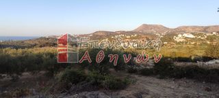 Οικόπεδο 7.500 τ.μ. για πώληση, Ν. Χανίων, Βάμος-thumb-4