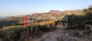 Οικόπεδο 7.500 τ.μ. για πώληση, Ν. Χανίων, Βάμος-thumb-13