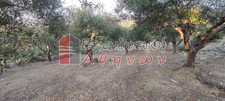 Οικόπεδο 7.500 τ.μ. για πώληση, Ν. Χανίων, Βάμος-thumb-3
