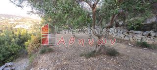 Οικόπεδο 7.500 τ.μ. για πώληση, Ν. Χανίων, Βάμος-thumb-10