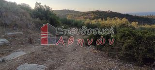 Οικόπεδο 7.500 τ.μ. για πώληση, Ν. Χανίων, Βάμος-thumb-11