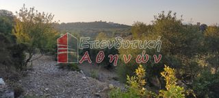 Οικόπεδο 7.500 τ.μ. για πώληση, Ν. Χανίων, Βάμος-thumb-8