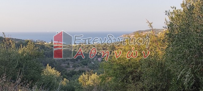 Οικόπεδο 7.500 τ.μ. πρός πώληση, Ν. Χανίων, Βάμος