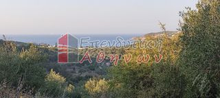 Οικόπεδο 7.500 τ.μ. για πώληση, Ν. Χανίων, Βάμος-thumb-2