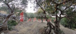 Οικόπεδο 7.500 τ.μ. για πώληση, Ν. Χανίων, Βάμος-thumb-6