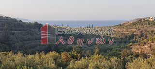 Οικόπεδο 7.500 τ.μ. για πώληση, Ν. Χανίων, Βάμος-thumb-7