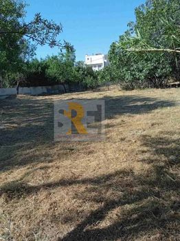 Οικόπεδο 778 τ.μ. για πώληση